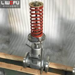 自力式壓力調節閥:自我調節,控制新趨勢 自力式壓力調節閥:自我調節,控制新趨勢